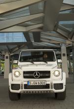 Mercedes-AMG G63 463 Edition 2015 года